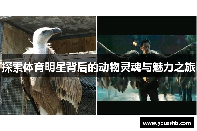 探索体育明星背后的动物灵魂与魅力之旅