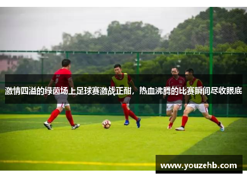 激情四溢的绿茵场上足球赛激战正酣，热血沸腾的比赛瞬间尽收眼底